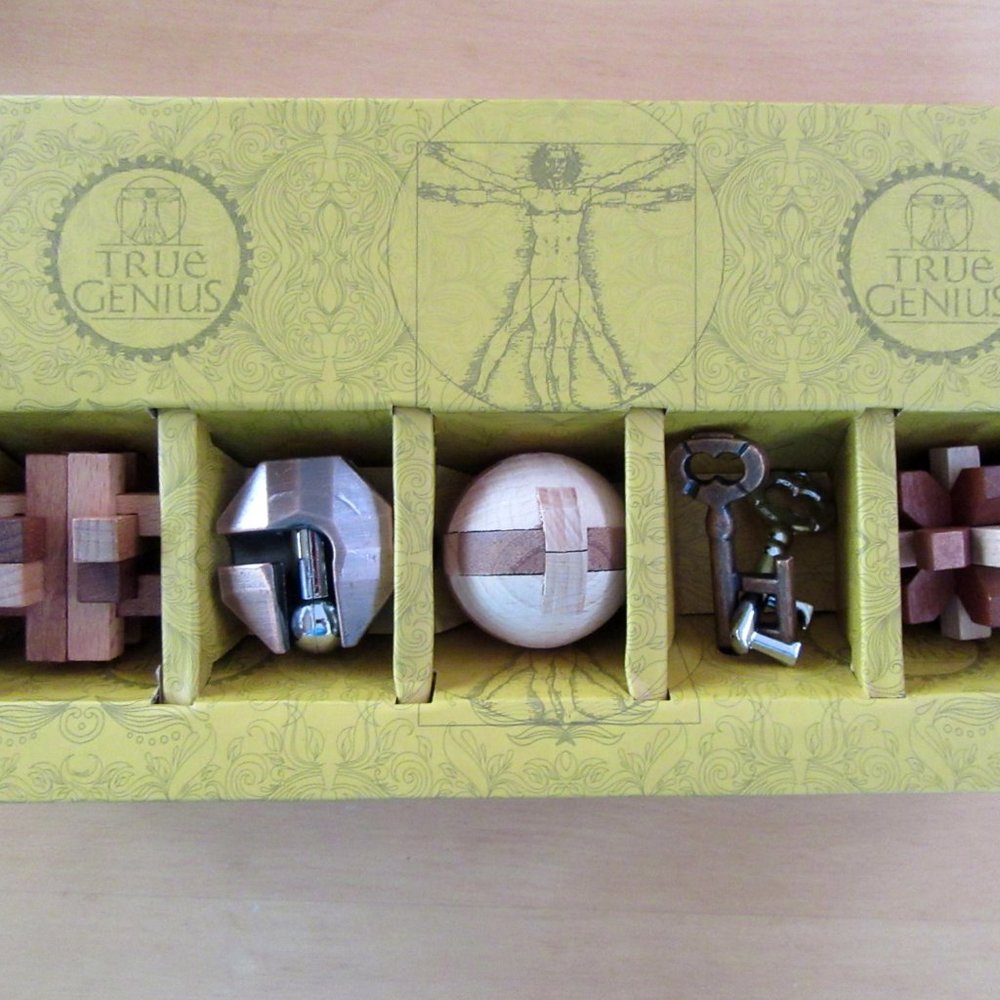 TRUE GENIUS wood & metal brainteaser puzzles NEW - Teens to Adult